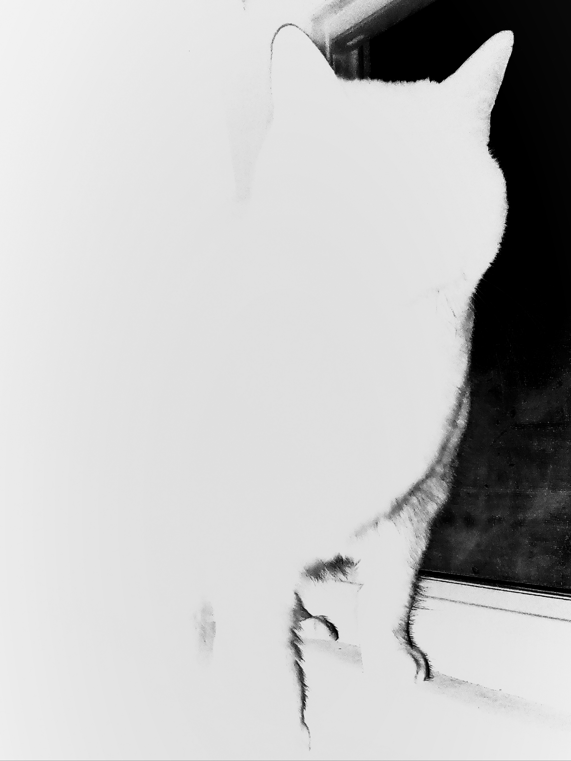 Qries